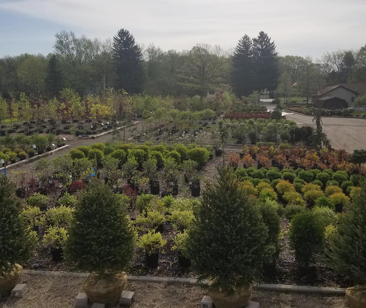 Garden Centers in Akron Canton Ohio